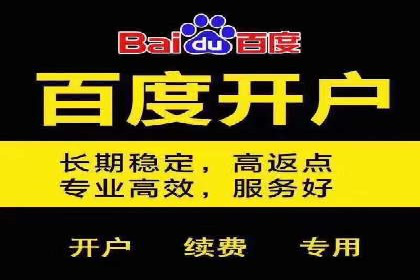 百度运营推广策略：成功案例解析